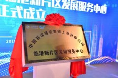 打造世界级信息通信枢纽上海移动临港新片区发展服务中心成立